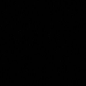 Meet your Posher, Jess